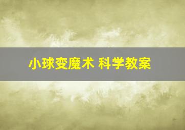 小球变魔术 科学教案